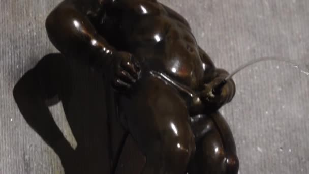 Manneken pis, little man pee, landmark of brussels, belgium — Stock Video