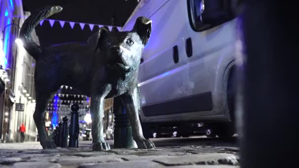 The Zinneke Pis in Brussels, Belgium. urinating dog — Stock Video