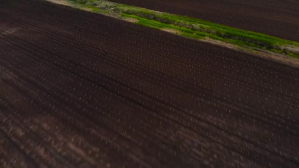 Drohnenangriff auf fruchtbare grüne Felder — Stockvideo