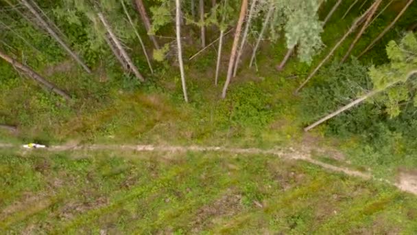 Enduro motocyklista jel sám ve vzdáleném lese. Letecká wiew — Stock video