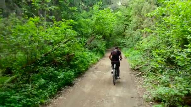 Adam sakin yeşil ormanda bisiklet sürme. Havadan görünümü. — Stok video