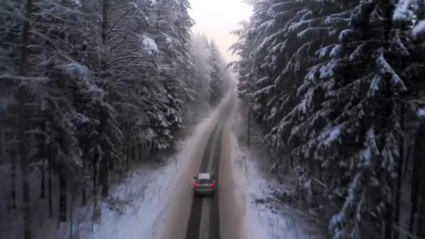 Auto rijden in het besneeuwde bos, luchtfoto onderweg winter land — Stockvideo