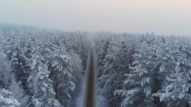 Vista superior da rodovia rural gratuita na floresta de inverno — Vídeo de Stock