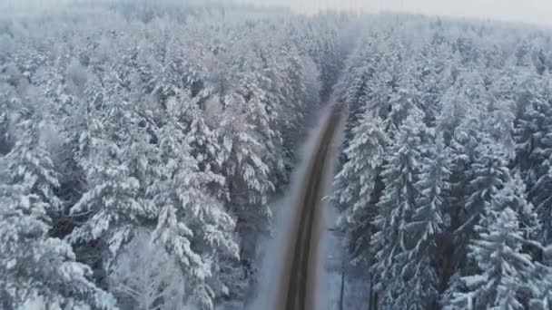 Vista superior da rodovia rural gratuita na floresta de inverno — Vídeo de Stock