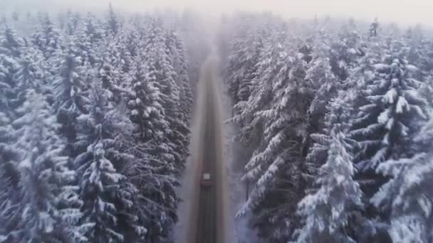 Carro dirigindo na estrada do país de inverno na floresta nevada, vista aérea — Vídeo de Stock