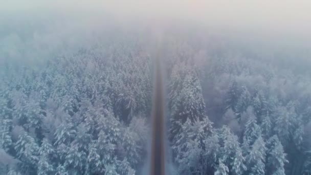 Vista superior da rodovia rural gratuita na floresta de inverno — Vídeo de Stock