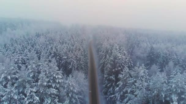 Вид зверху на безкоштовне сільське шосе в зимовому лісі — стокове відео