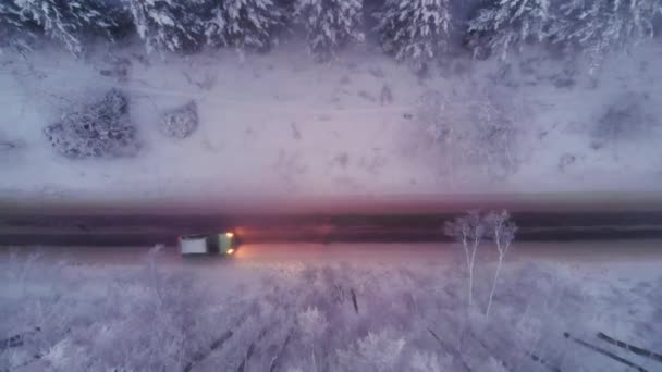 Letecký snímek auto zasněžené borovým lesem v zimě — Stock video