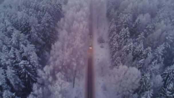 Tiro aéreo Carro dirigindo através de pinhal nevado no inverno — Vídeo de Stock