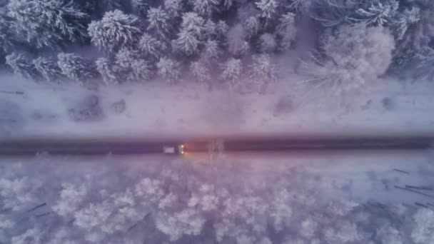 Vue aérienne Voiture traversant la forêt de pins neigeux en hiver — Video