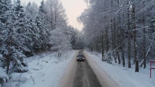 Auto na zimní silnici v zasněženém lese, letecký pohled — Stock video