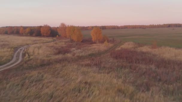 Floresta de outono colorido aéreo com amarelo laranja verde árvores Filmagem De Bancos De Imagens Sem Royalties