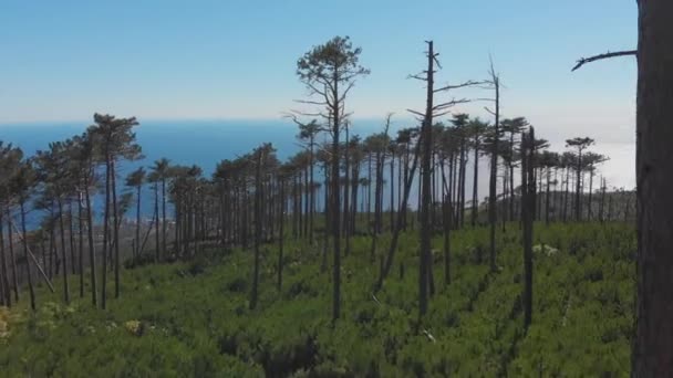 Вид на пляж і блакитне море під гірським схилом в сонячний літній день, повітряний постріл Стоковий Відеоролик