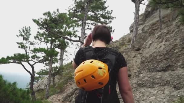 Mujer viajera con equipo de montañismo caminando en el bosque en el fondo de las montañas en el día de verano — Vídeos de Stock