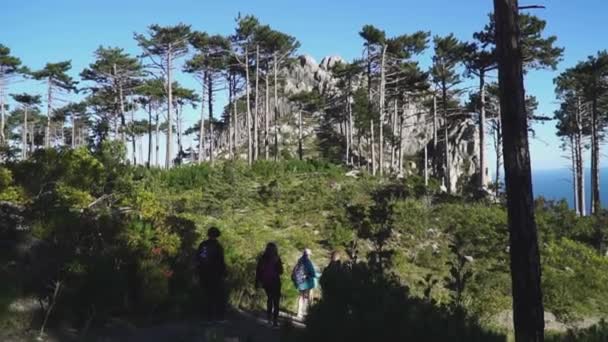 Pohled zezadu: přátelé s batohy na zádech následovat cestu v lese na horu — Stock video