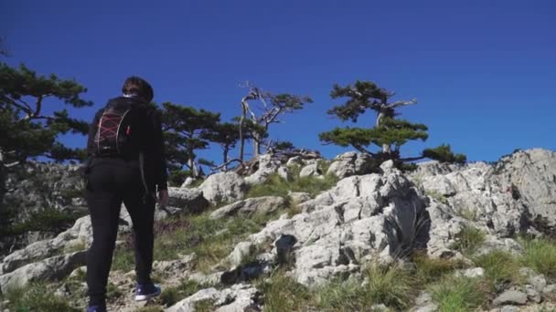 Ung kvinna med en ryggsäck klättrar på toppen av berget — Stockvideo