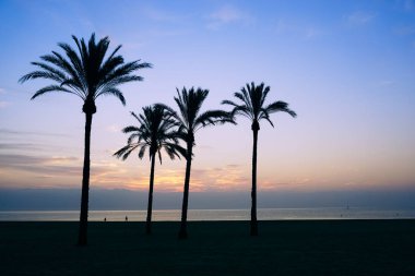 mavi bir gökyüzü ve bulutlar ufukta güneş yükseliyor gökyüzünde dağınık