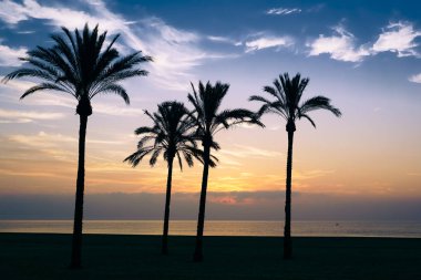 mavi bir gökyüzü ve bulutlar ufukta güneş yükseliyor gökyüzünde dağınık