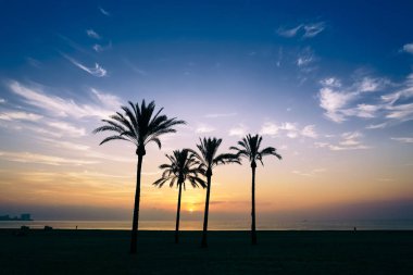 Sahilde gün doğumu