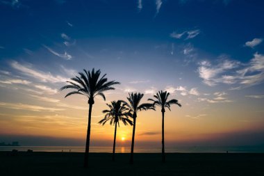 mavi bir gökyüzü ve bulutlar ufukta güneş yükseliyor gökyüzünde dağınık