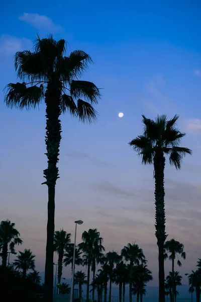 Soleil Levant Sur Horizon Avec Ciel Bleu Des Nuages Éparpillés — Photo