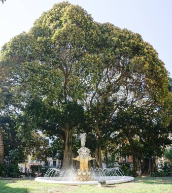 Önünde çeşme olan bir parkın ağaç detayı