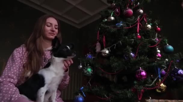 犬新年おもちゃで遊んで 新年のツリー クリスマス クリスマスのおもちゃの近くに犬と遊ぶ少女 — ストック動画
