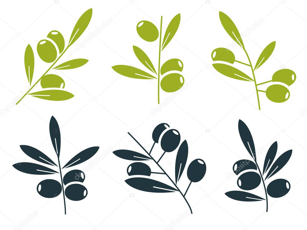 Green and black olive branches icons