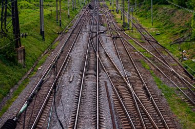 İlkbaharda ormanda demiryolu.