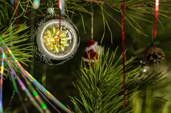 parlak cam altın top ve tinsel bir kabarık yeşil çam dalı asmak