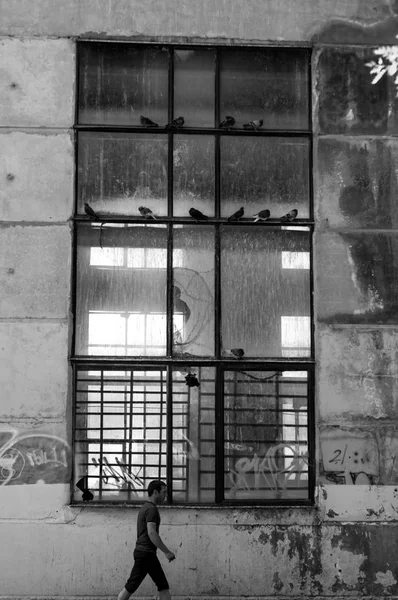 Одинокий Человек Идущий Рядом Заброшенным Промышленным Зданием Разбитое Окно Черно — стоковое фото