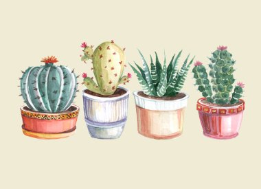 kaktüsler ve succulents suluboya seamless modeli. suluboya çizimler renkli bir arka plan üzerinde bitkilerin. suluboya arka plan