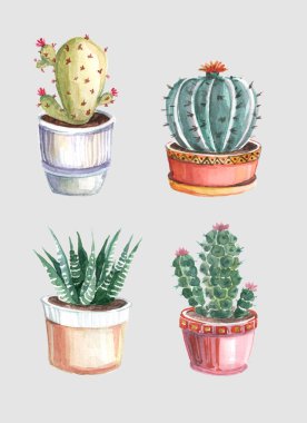 kaktüsler ve succulents suluboya seamless modeli. suluboya çizimler renkli bir arka plan üzerinde bitkilerin. suluboya arka plan