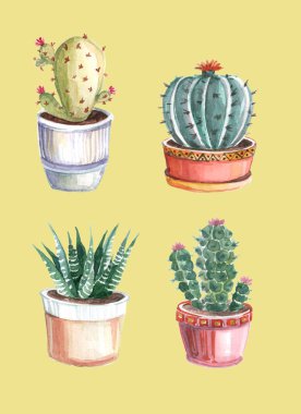 kaktüsler ve succulents suluboya seamless modeli. suluboya çizimler renkli bir arka plan üzerinde bitkilerin. suluboya arka plan