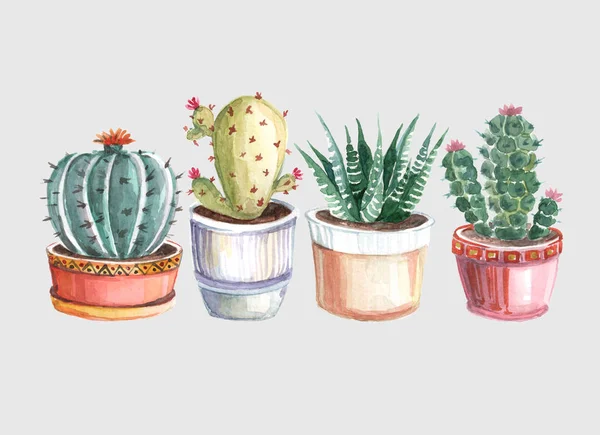 Acuarela Patrón Sin Costuras Cactus Suculentas Acuarela Dibujos Plantas Sobre — Foto de Stock