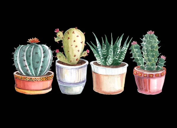 Acquerello Modello Senza Soluzione Continuità Cactus Succulente Disegni Acquerello Piante — Foto Stock