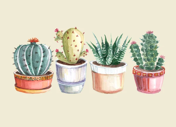 Acquerello Modello Senza Soluzione Continuità Cactus Succulente Disegni Acquerello Piante — Foto Stock