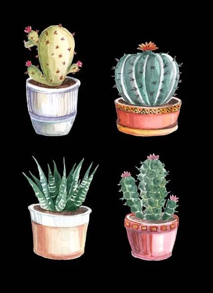 Acquerello Modello Senza Soluzione Continuità Cactus Succulente Disegni Acquerello Piante — Foto Stock