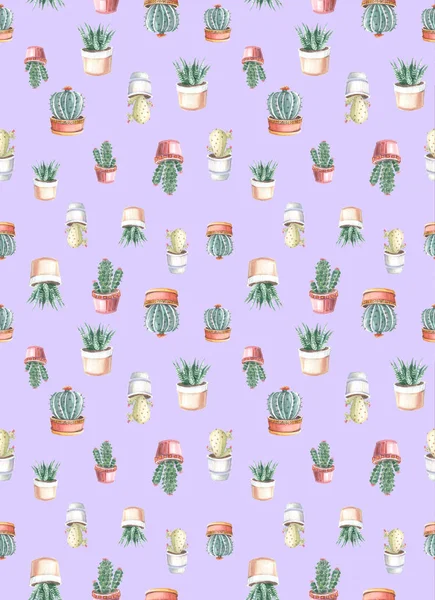 Acquerello Modello Senza Soluzione Continuità Cactus Succulente Disegni Acquerello Piante — Foto Stock