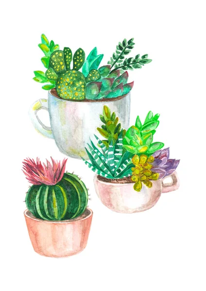 kaktüsler ve succulents suluboya seamless modeli. suluboya 