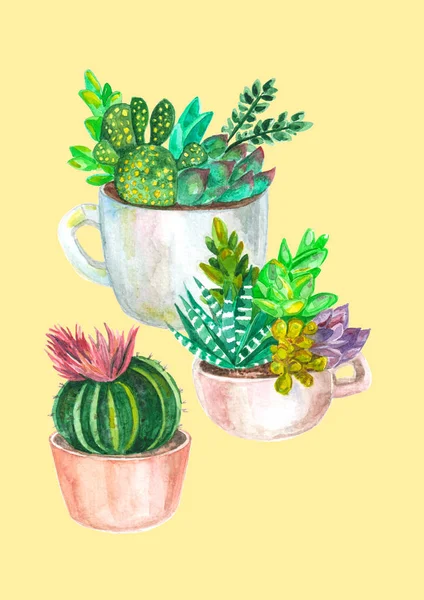Akvarell sömlösa mönster av kaktusar och suckulenter. akvarell — Stockfoto