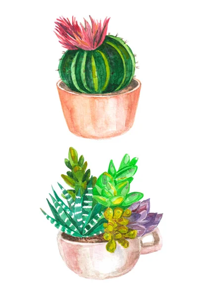 Akvarelu vzor bezešvé kaktusů a sukulentů. Akvarel Royalty Free Stock Obrázky