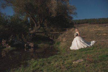 Mutlu evlilik çift doğada yürür. Sevgi dolu genç Aile düğün gününde fotoğraflandı olduğunu. Harika duygu ve duyguları inanılmaz insanlar. Ukrayna Photosession. Dnister