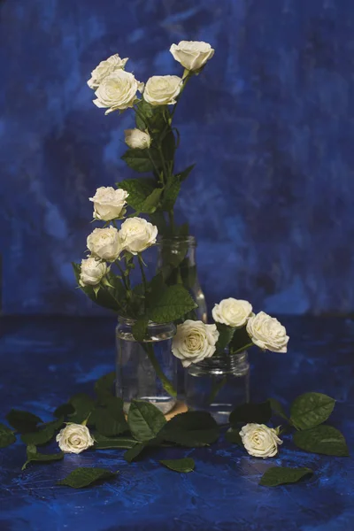 情人节 浪漫的夜晚 蓝色背景上的白玫瑰 情人的假期 图片照片 — 图库照片