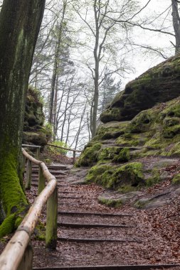 Bastei Dresden Germany.Park Sakson Switzerland.The kayalıklarla değil Rathen uzak sis kayalarda Dresden.The güney doğusunda Pirne şehri yakınlarında yer almaktadır. Güzel manzara. Dağlar seyahat.