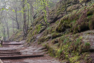 Bastei Dresden Germany.Park Sakson Switzerland.The kayalıklarla değil Rathen uzak sis kayalarda Dresden.The güney doğusunda Pirne şehri yakınlarında yer almaktadır. Güzel manzara. Dağlar seyahat.