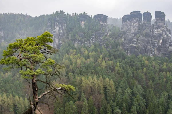 Bastei Dresden Germany.Park Sakson Switzerland.The kayalıklarla değil Rathen uzak sis kayalarda Dresden.The güney doğusunda Pirne şehri yakınlarında yer almaktadır. Güzel manzara. Dağlar seyahat.