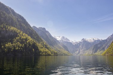 Güzellikler Kenigssee göl kenarında. Bavyera Alpleri renkli sabah görünümünü Avusturya, Almanya, Europe.Photo güzel manzara sınırında. Yeşil su montains ile.