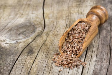 Kaşık - Linum usitatissimum organik keten tohumu