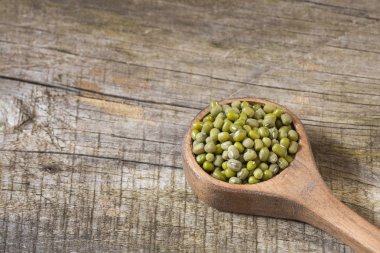 Ham mung fasulye - Vigna ışınsal simetrili canlılar